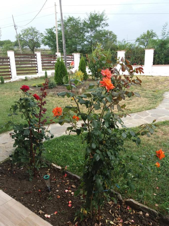 Vila Aloman Sebes  Ngoại thất bức ảnh