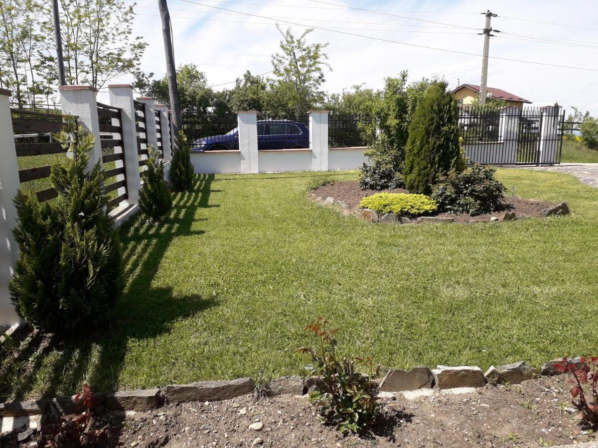 Vila Aloman Sebes  Ngoại thất bức ảnh