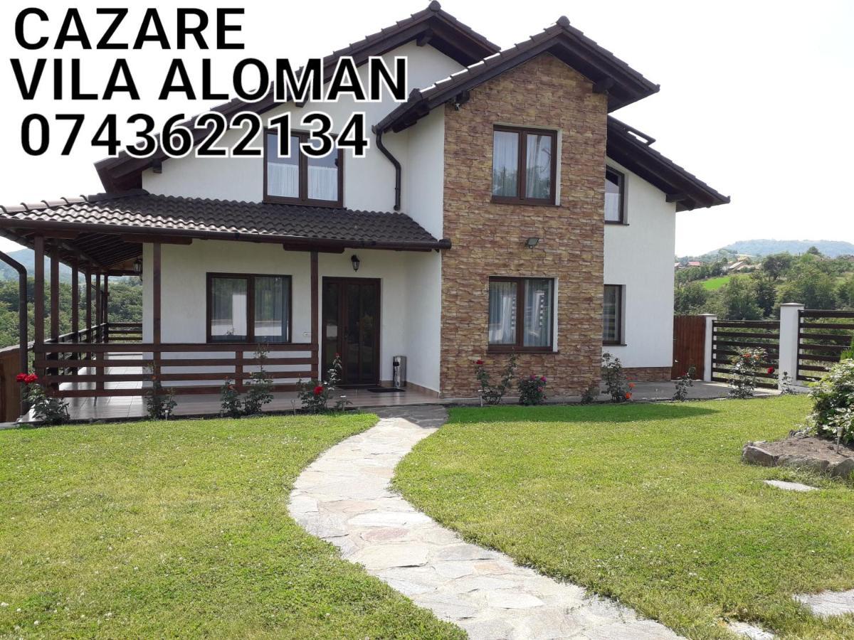 Vila Aloman Sebes  Ngoại thất bức ảnh