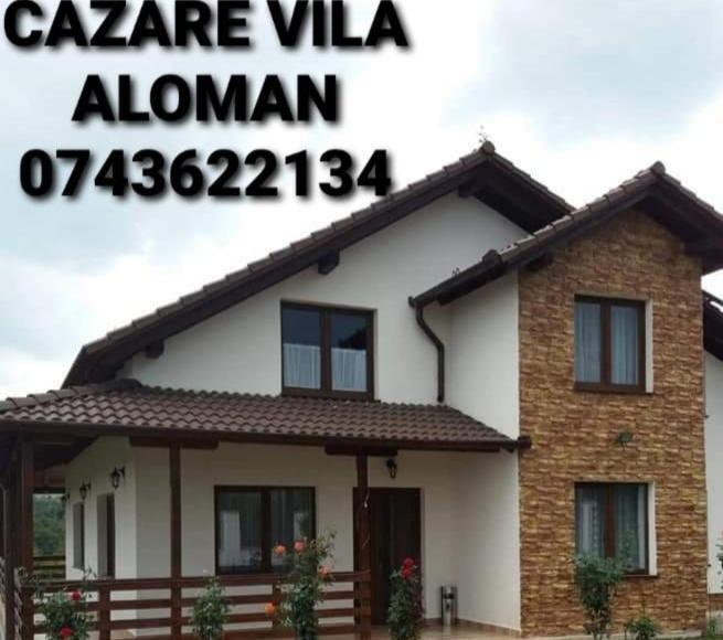 Vila Aloman Sebes  Phòng bức ảnh